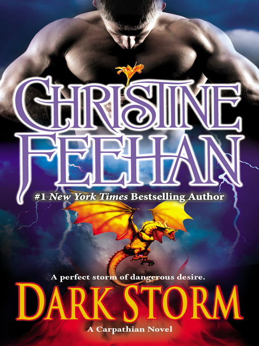 Cover image for Dark Storm
